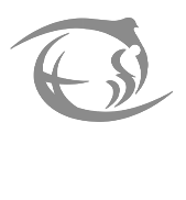 Generación en Conquista